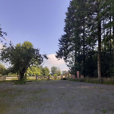 Les Gites Du Chateau De Maltot Saint-Ouen-du-Breuil Zewnętrze zdjęcie